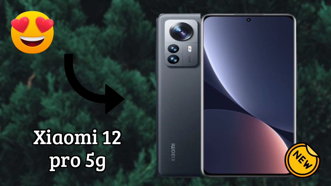 Xiaomi 12 Pro 5G Display Size: 6.73 Inches (17.09 Cm) Screen Review